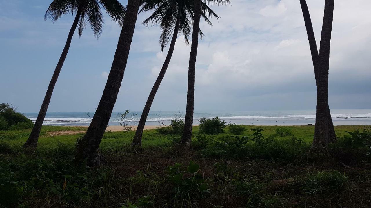 Oseda Nias Surf House Hotel Hilibotodane Kültér fotó