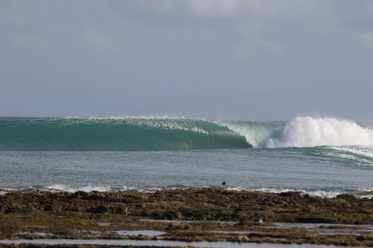 Oseda Nias Surf House Hotel Hilibotodane Kültér fotó