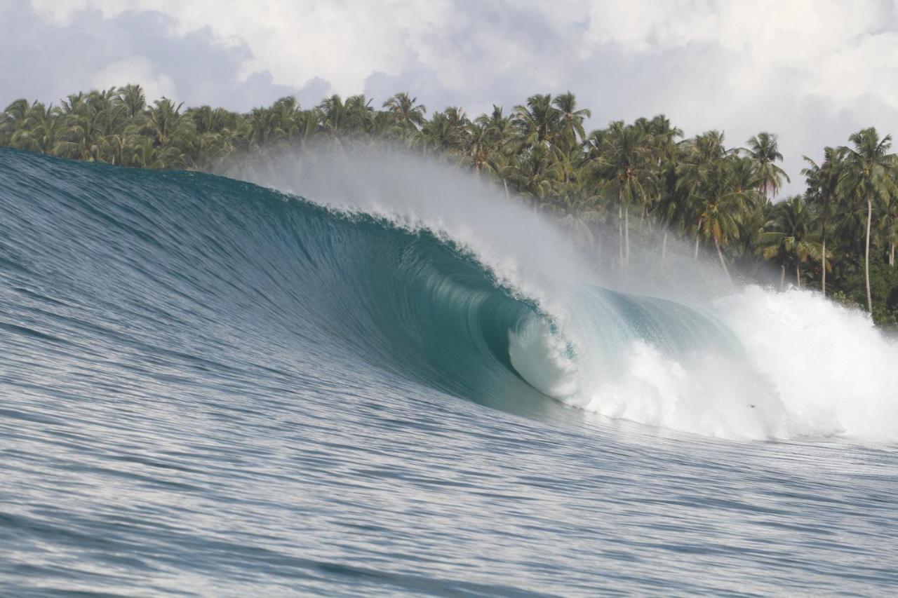 Oseda Nias Surf House Hotel Hilibotodane Kültér fotó